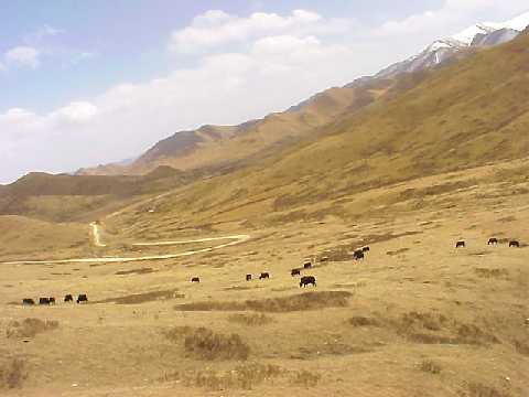 Le GANSU