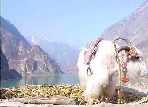 Le GANSU