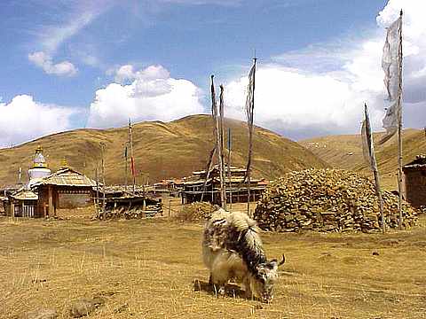 Le GANSU