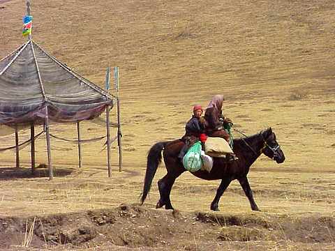 Le GANSU