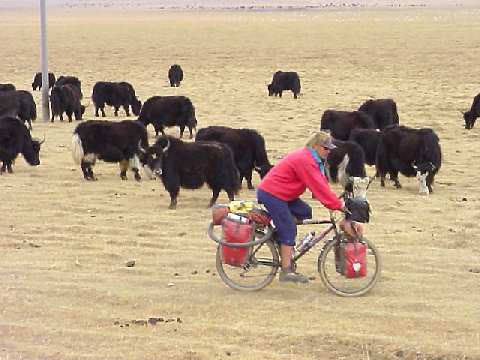 Le GANSU
