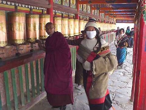Le GANSU